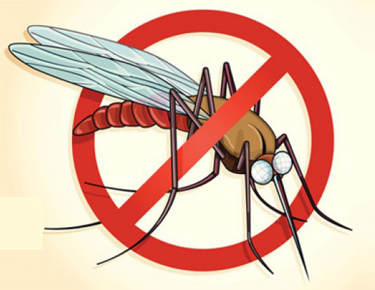 روش های پیشگیری مالاریا